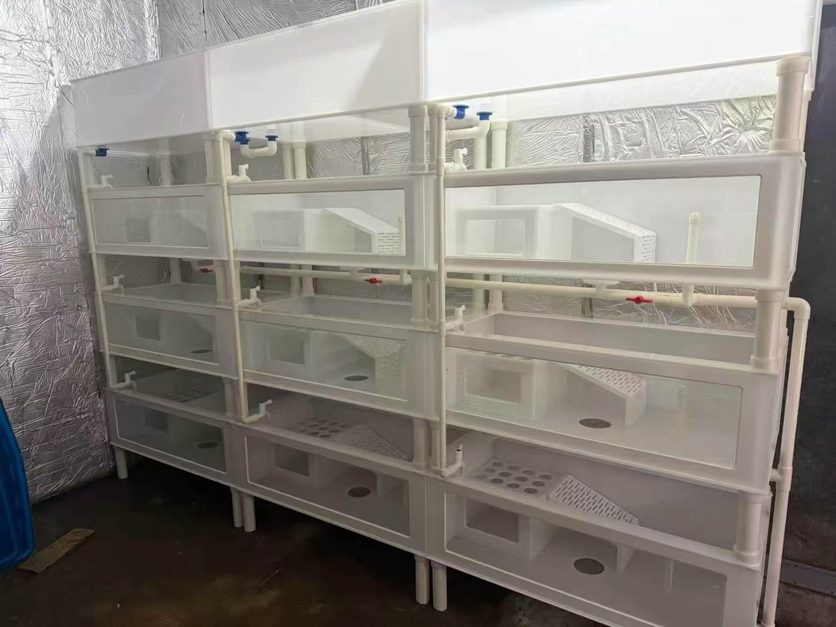 浙江龟箱加工——伍先生多层立体养殖箱PP板定制案例